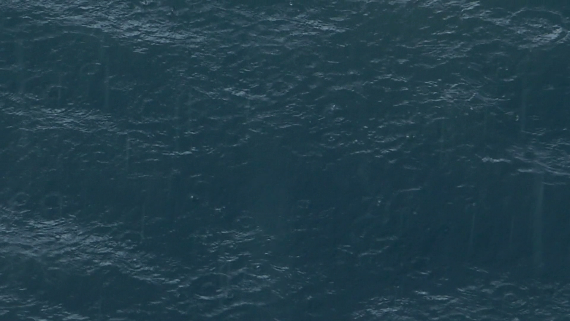 2022-11-09 10 Uhr 01 das Meer (Video, Foto)